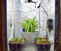 The size of the box will determine how many bulbs you can fit, but you should aim for around 10 lights. Diy Grow Box 8 Steps With Pictures Instructables