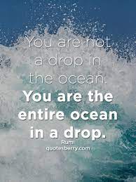 Quotes About Drops In The Ocean 71 Quotes