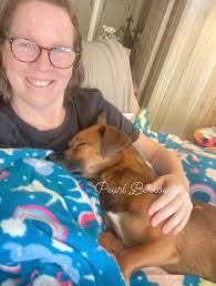 Pearl's evening sniffari walk and playtime with her family