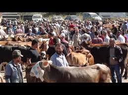 Bayburt Ta Hayvan Pazarinda Kiyasiya Kurban Pazarligi 14 08 2018 Youtube
