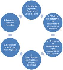 L Usage Des Outils Informatiques En Analyse Des Donnees Qualitatives Adjectif Data Analysis Pie Chart