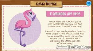 Whatsapp mods themes,yo whatsapp themes,fouad whatsapp themes,yomods fouad mods rc themes,gb whatsapp themes,ra whatsapp themes,ns whatsapp themes Flamingos In Animal Jam Codes More Animal Jam World