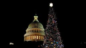Us Capitol Christmas Tree Lights Up Washington Abc News