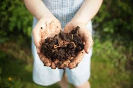Here's how to get rid of you could submit a sample which could help guide you on proper measures to improve the soil in. Dirty Secrets 9 Ways To Improve Garden Soil Gardenista