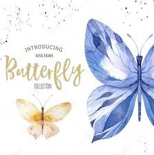 Enjoy free shipping on most stuff, even big stuff. Blue Butterfly Blue Chrisalys Pages Directory