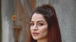 Shikha Singh Says After Giving Birth to Baby, Makers Dont Cast Women in  Strong or Interesting Roles - News18