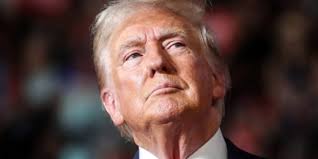 Garry Pierre-Pierre: The Haitian government 'is unable to provide  leadership'