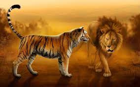 Desktop Backgrounds Tigers Google Search Lion Live Wallpaper Lion Images Lion