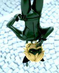 Miraculous Ladybug Miraculous Ladybug Miraculous Ladybug Funny Ladybug