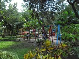 Kami pembudidaya bibit tanaman dari nganjuk jawa timur, kami menyediakan berbagai macam bibit dan biji tanaman. Kebun Bibit Jual Bibit Tanaman Hias Buah Dll Ini Alamat Lengkapnya