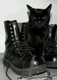 đ U Adli Kullanicinin đ A ŕ K Panosundaki Pin Kara Kedi Gotik Modasi Kedi
