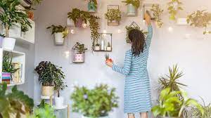 13 best fragrant indoor plants. 15 Fragrant Indoor Plants