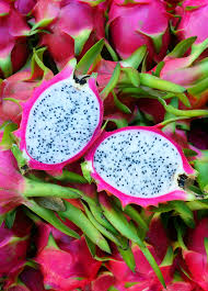 Dragon Fruit White Vietnamese Jaina Hylocereus Undatus Dragon Fruit Pitaya Dragon Fruit Dragon Fruit Pictures