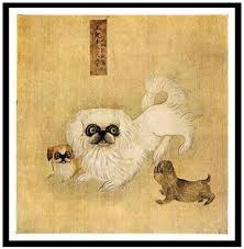 Image result for pekingese