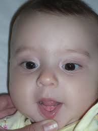 Teeth! Check 'em out!