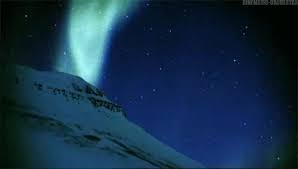 Snow Gif Find Share On Giphy Aurora Borealis Aurora Northern Lights