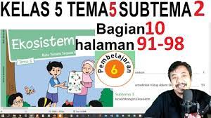 Berikut ini adalah kunci jawaban buku tematik tema 5 kelas 3 sd untuk halaman 91. Tema 5 Kelas 5 Subtema 2 Halaman 91 98 Ekosistem Revisi 2017 Bagian 10 Youtube