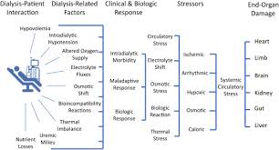 Dialysis machines help to remove the waste products from their blood. Dialysis Induced Cardiovascular And Multiorgan Morbidity Sciencedirect