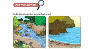 Apa Yang Dimaksud Dengan Lingkungan Alam Kunci Jawaban Tema 6 Kelas 5 Sd Halaman 27 Tribun Sumsel