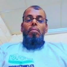 Elk Fights For It's Family Against Wolf! #rescue #animals #Wildlife