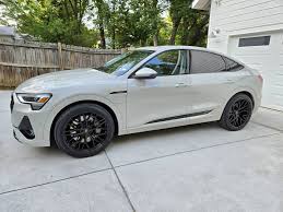 Image result for Siam Beige 2017 A1