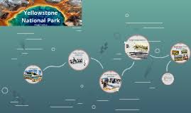 「http://thestudyofracialism.org/viewtopic.php?f step」的圖片搜尋結果