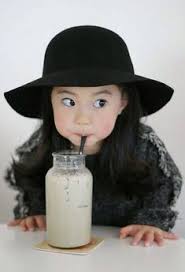 PetAg Petlac Milk Powder