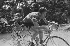 Obteve 525 vitórias ao longo de sua carreira, e seu apetite voraz de vitórias lhe valeu o apelido de canibal. Eddy Merckx Wahrend Der Tour De France 1977 Bild Kaufen Verkaufen
