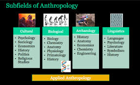 Anthropology Exam 1 Ch 1 2 3 10 11 12 Diagram Quizlet
