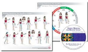 meridian tracing and flow wheel chart dvd combo ayurveda