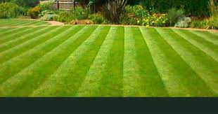 Landscape And Commercial Garden Services Leicester In 2021 Garden Services Commercial Landscaping Landscape