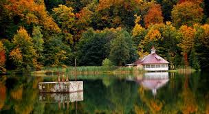 Lacul Bodi Mogosa In Apropiere De Baia Mare Foto By Corina Szasz Beautiful Places Romania Dream Destinations