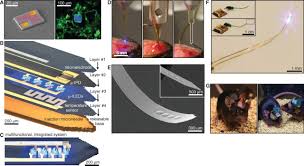We are fully north carolina licensed and insured. Injectable Cellular Scale Optoelectronics With Applications For Wireless Optogenetics Science