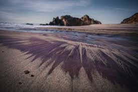 We did not find results for: Pfeiffer Beach In Big Sur Purple Sand Natural Arches The Break Of Dawns