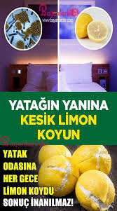 Yatak Odasina Her Gece Limon Koydu Sonuc Inanilmaz Dogal Saglik Saglik Saglik Urunleri