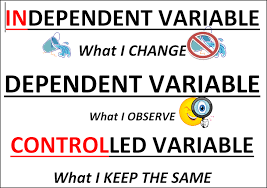 5th Grade Science Anchor Charts Science Anchor Charts Qualitative Vs Quantitative Observations Science Anchor Charts 5th Grade Science Science Lessons
