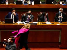 La congresista pamela jiles ya era conocida en el país por ser una fanática del anime, y así asumió el reto de correr a lo naruto si el congreso conseguía sacar adelante una ley que permitía a los. Corri Como Naruto Pamela Jiles Explica Euforico Festejo En El Congreso