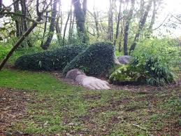 The Lost Gardens Of Heligan Cornwall Lost Gardens Of Heligan Lost Garden Cornwall England