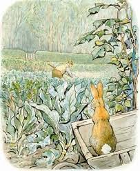 Watching Mr Mcgregor Beatrix Potter Beatrix Potter Illustrations Illustration