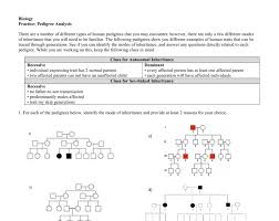 Fibrosis are each caused by a specific allele of a human gene and can therefore be. E Bio Worksheet Pedigree Analysis In Genetics Nidecmege