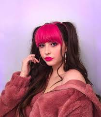 Reenjoyart Anyway I Have Pink Bangs Now Arcticfoxhaircolor Colorfulbangs Pi Hair Arcticfoxhaircol Black Hair Dye Aesthetic Hair Hair Inspo Color