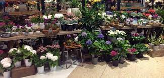 Maybe you would like to learn more about one of these? A Little Garden In Our Beautiful Flower Shop Flower Florist Garden Beautiful Plants Little Garden Flowers