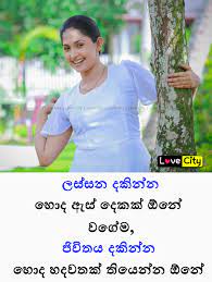 Check spelling or type a new query. Love City Facebook