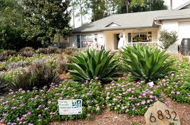New Homeowner Association Florida Friendly Landscaping Code And Training Florida statutes #373.185 gives homeowners the right to install drought tolerant landscaping using the 9 principles of florida friendly landscaping.