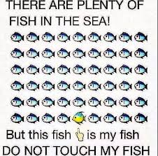 This Is To Be Produced To Any Southern Softies Who Approach They Have A Fight On Their Hands X Plenty Of Fish Relationship Memes Funny Relationship
