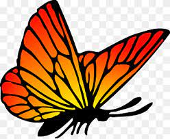 Maybe you would like to learn more about one of these? Butterfly Drawing Colour Brush Footed Butterfly Symmetry Insects Png Pngwing
