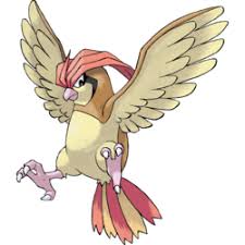 Pidgeotto Pokemon Planet Wikia Fandom