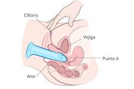Como Usar Un Consolador Para Conseguir El Maximo Placer Tryremedy