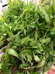 Selain itu, menanam ulam raja juga bisa mengusir serangga sehingga bisa melindungi. Aku Sis Lin Kemain Segar Daun Kesum Dan Ulam Raja Yang Anak Beli Di Pandamart