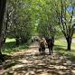 Boree Lane Ramble 2025 — STRAWHOUSE event image